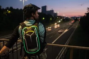 Wheel Bee backpack stelvio 3 122