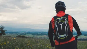Wheel Bee backpack stelvio 5 122