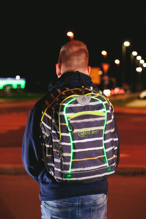 Wheel Bee Night vision SGR